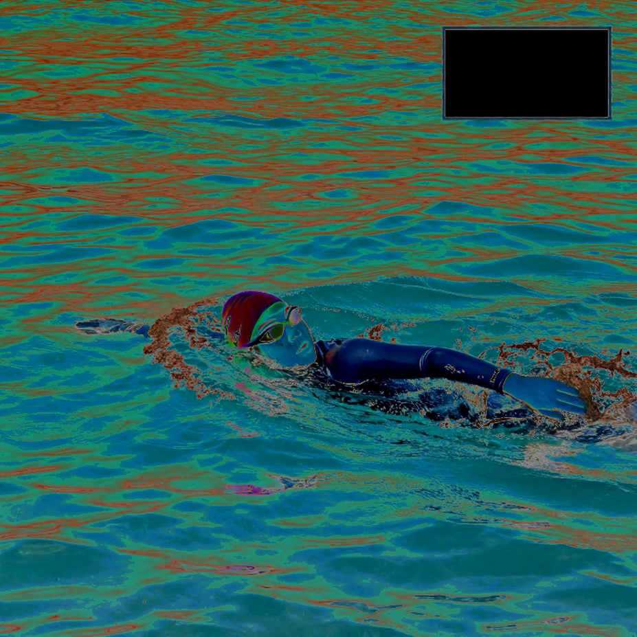 SwimSwam giới thiệu cơ sở dữ liệu tuyển sinh 2028 – cơ hội cho bơi lội Việt Nam