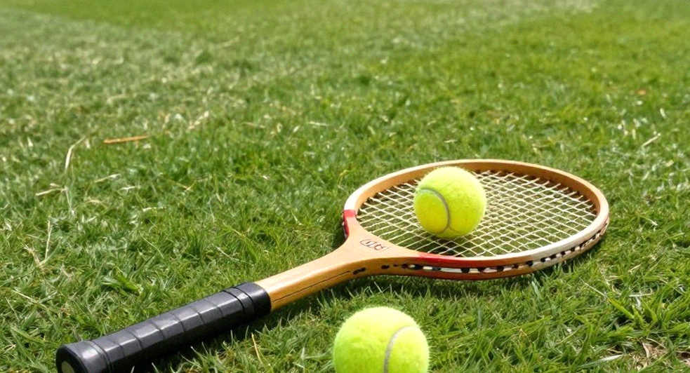 Monfils trả lại vé hoang ở Lyon và khoảng trống thương mại của một cặp đôi quần vợt
