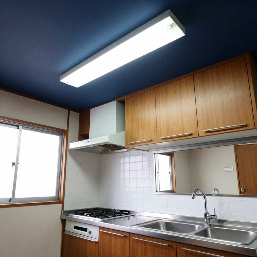 27 triều đại, 28 năm: Hạng nặng UFC không bao giờ có vị vua vĩnh cửu
